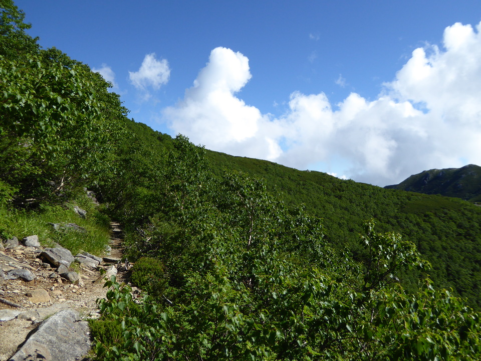 P1040925_mid.jpg