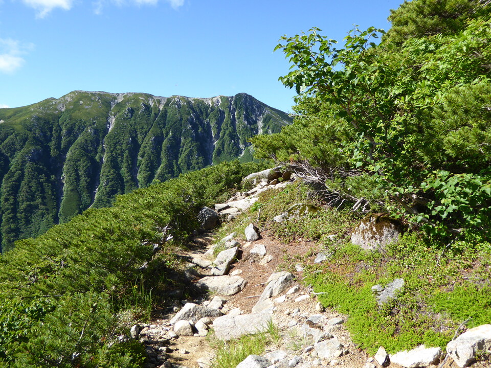 P1040926_mid.jpg