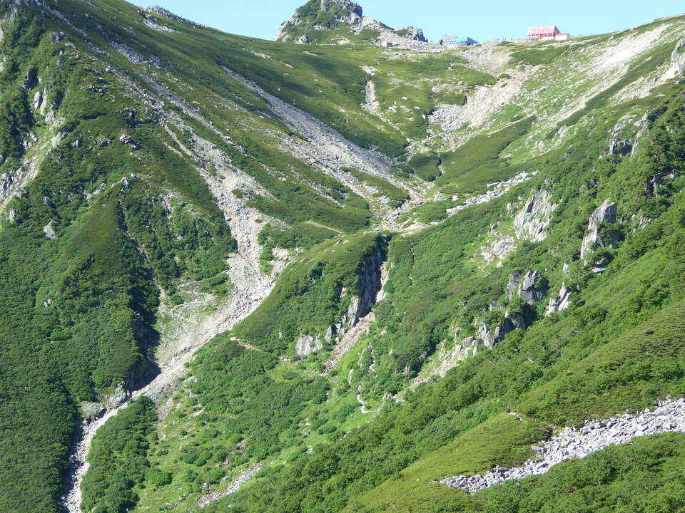 P1040928_mid.jpg