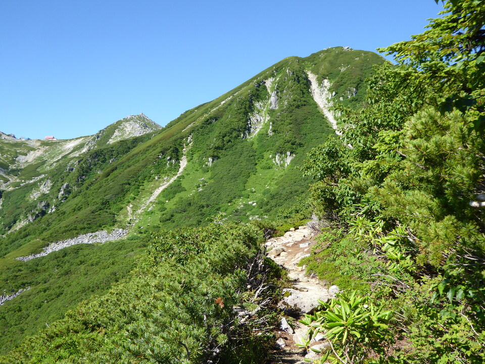 P1040929_mid.jpg