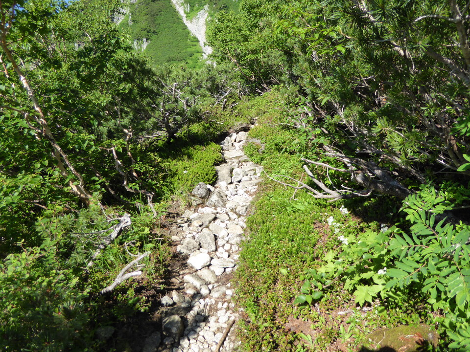 P1040930_mid.jpg