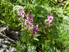 P1040934_thumb.png