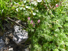 P1040935_thumb.png