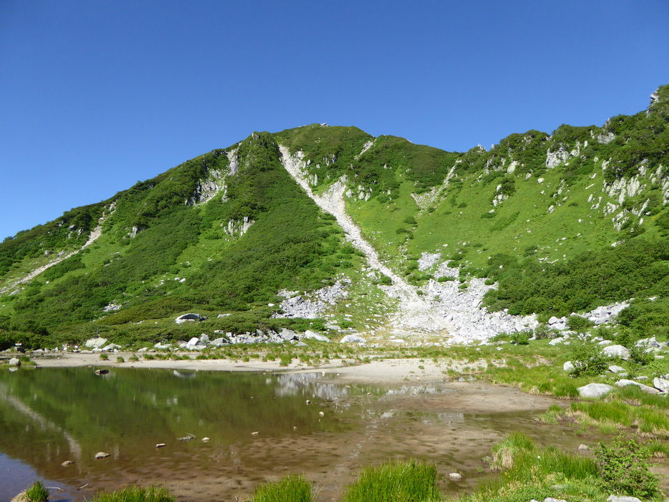 P1040939_mid.jpg