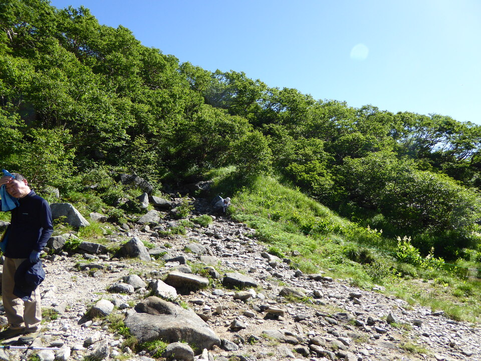 P1040941_mid.jpg