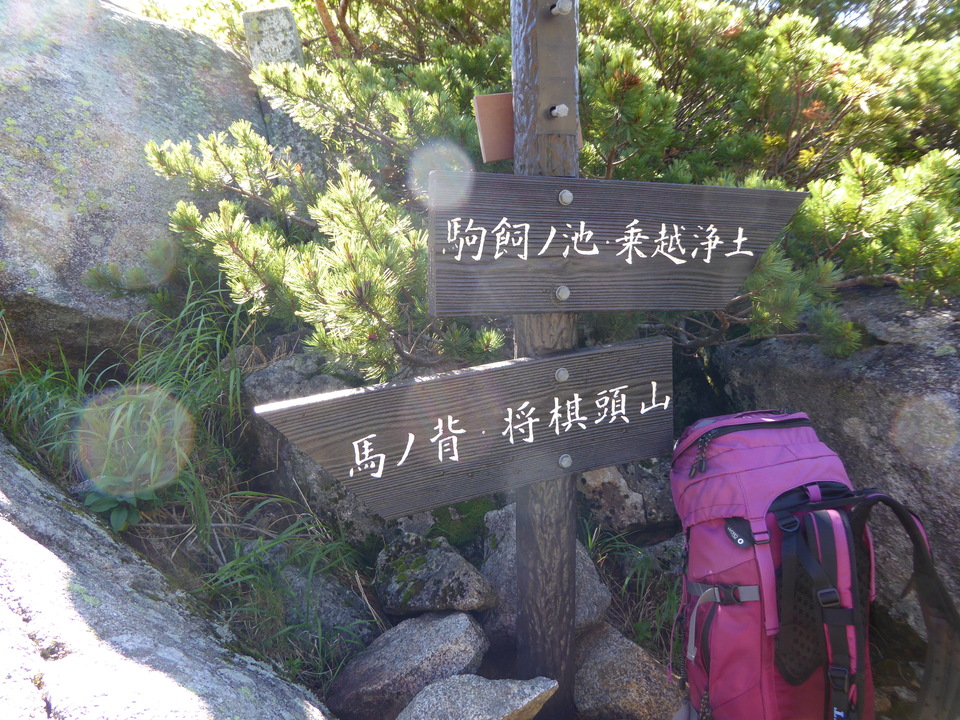 P1040942_mid.jpg