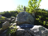 P1040943_thumb.png