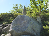 P1040944_thumb.png