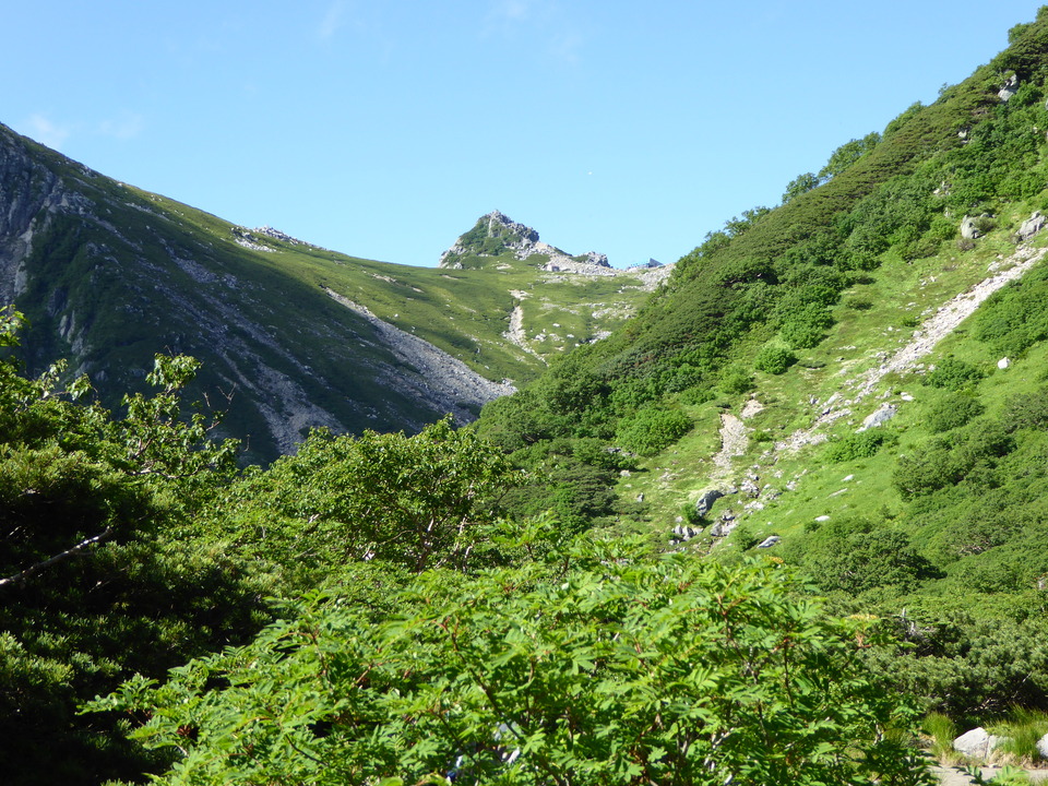 P1040946_mid.jpg