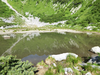 P1040948_thumb.png