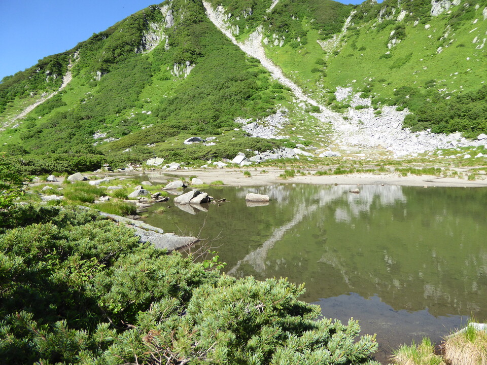 P1040949_mid.jpg