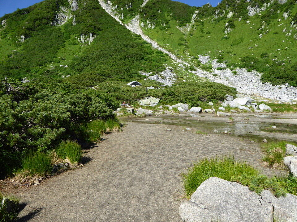 P1040951_mid.jpg