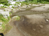 P1040954_thumb.png
