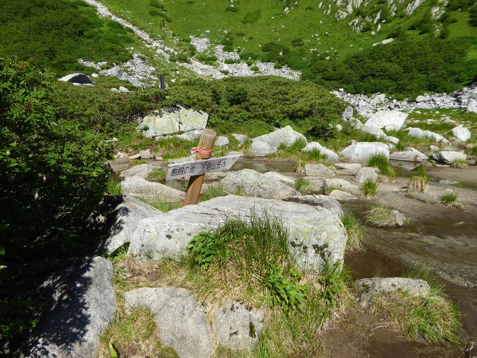 P1040955_mid.jpg