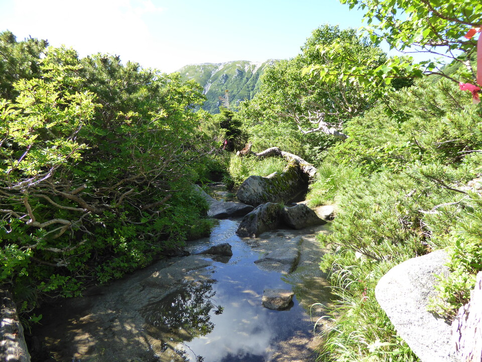 P1040957_mid.jpg