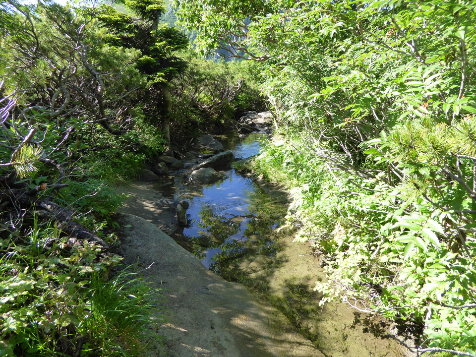 P1040960_mid.jpg