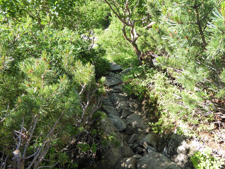 P1040963_mid.jpg