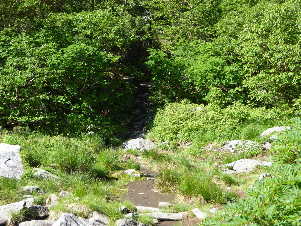 P1040967_mid.jpg