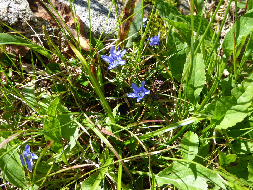 P1040976_mid.jpg