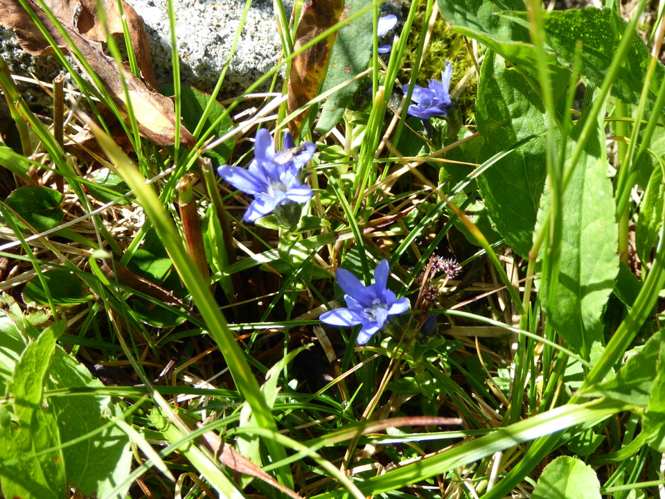 P1040977_mid.jpg