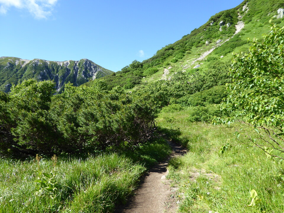 P1040978_mid.jpg