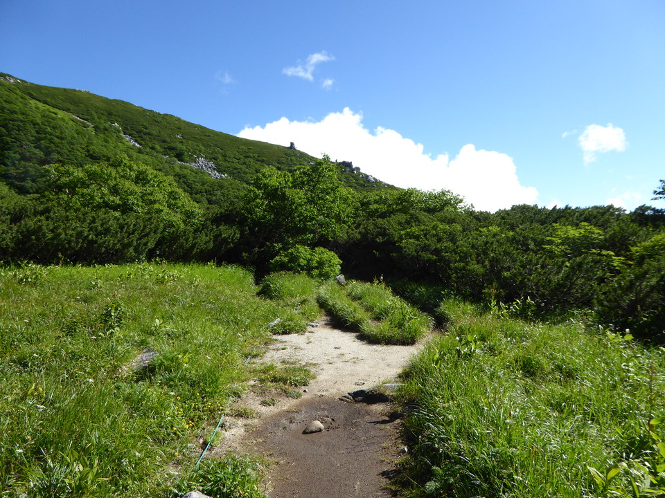 P1040979_mid.jpg