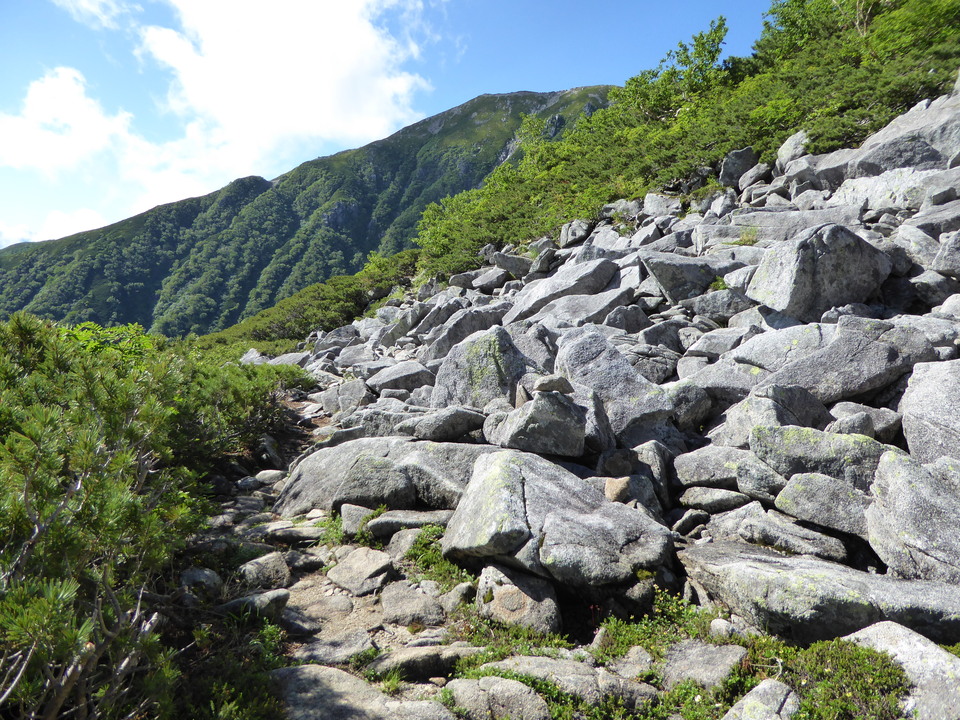 P1040980_mid.jpg
