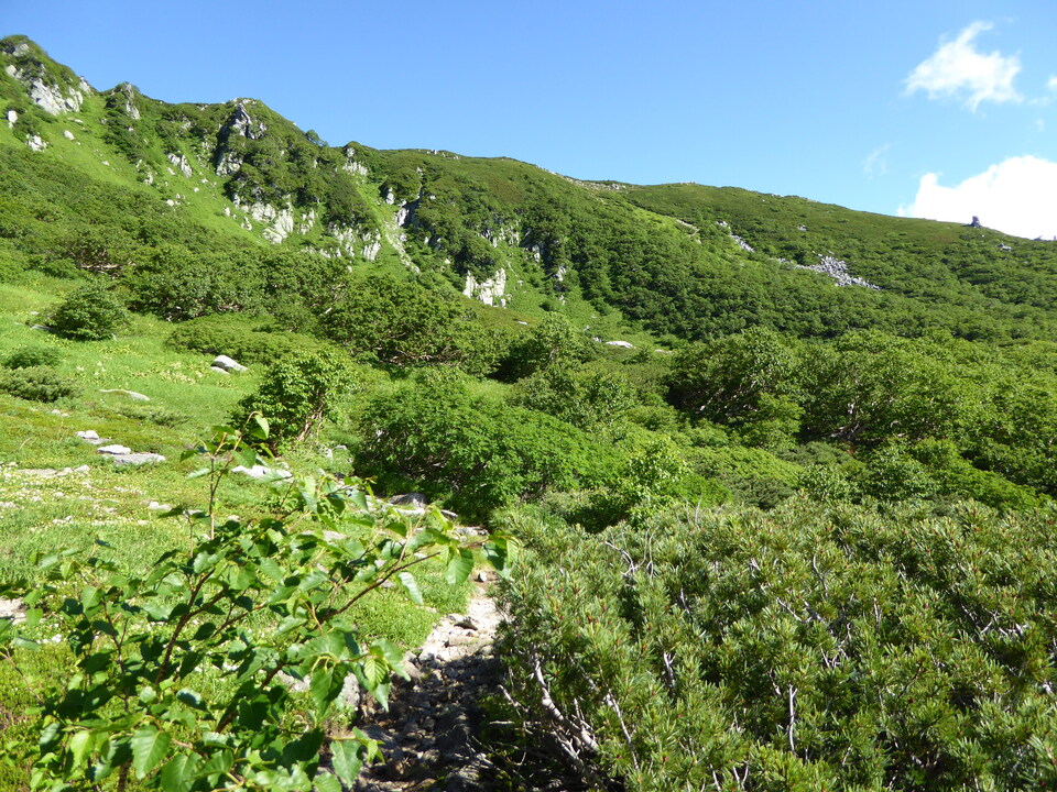 P1040982_mid.jpg