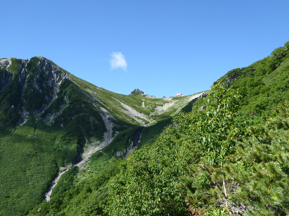 P1040984_mid.jpg