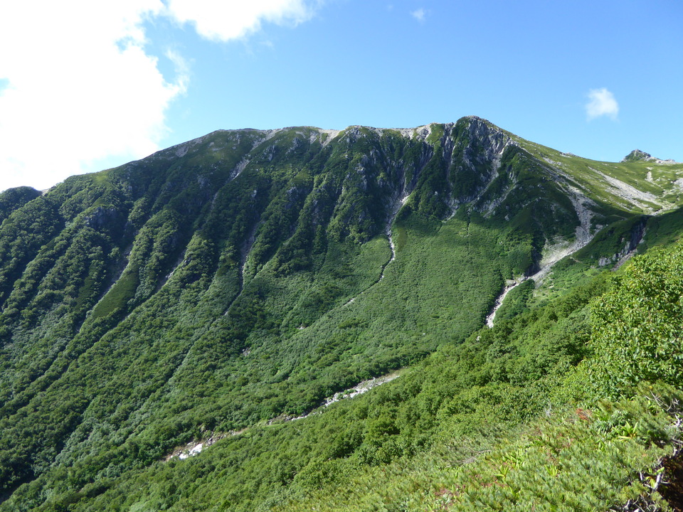 P1040985_mid.jpg