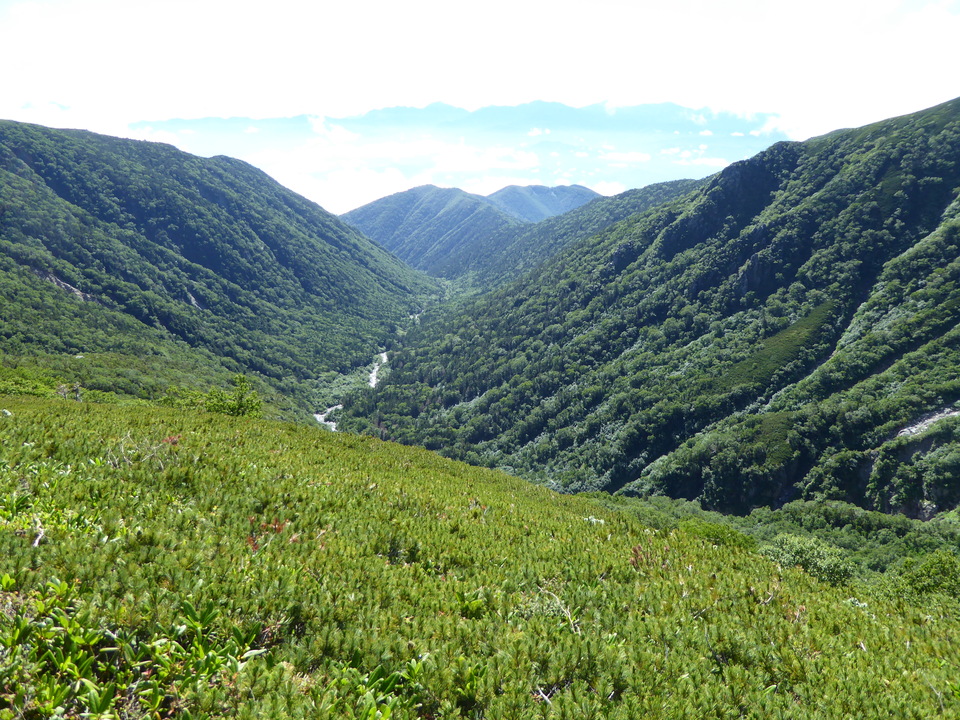 P1040986_mid.jpg