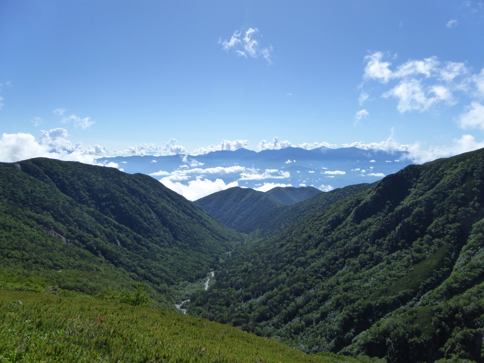 P1040987_mid.jpg