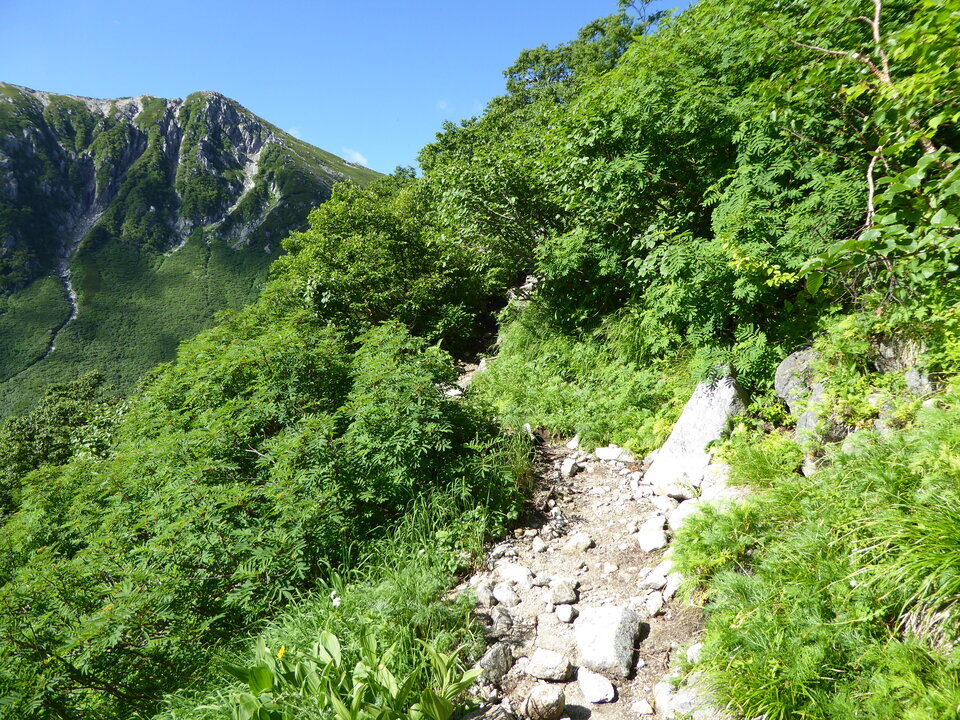 P1040993_mid.jpg