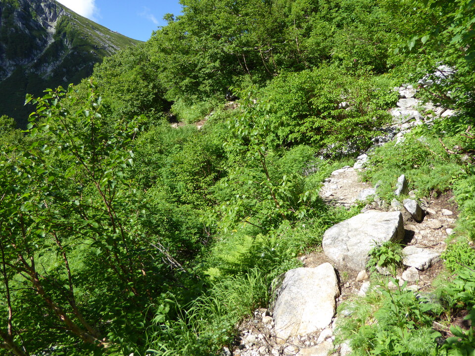 P1050001_mid.jpg