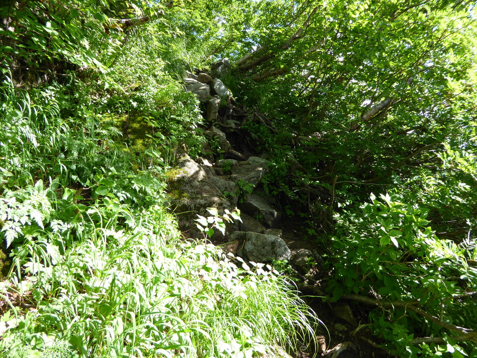 P1050002_mid.jpg