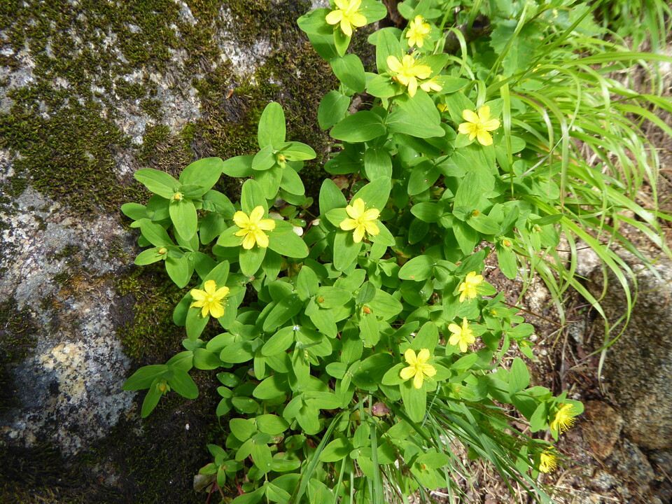 P1050007_mid.jpg