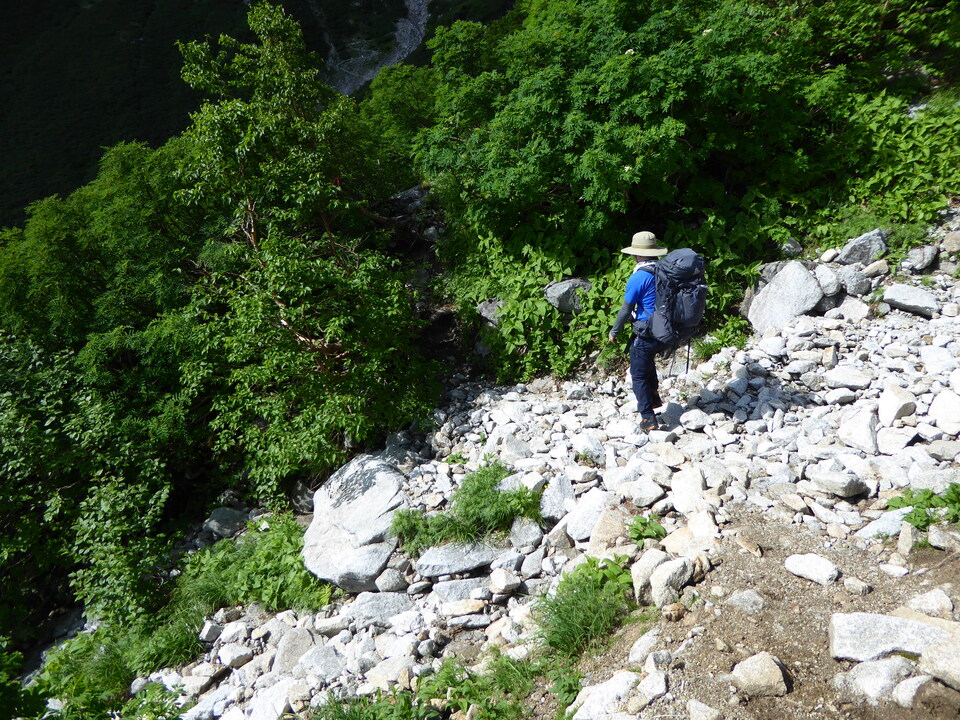 P1050013_mid.jpg