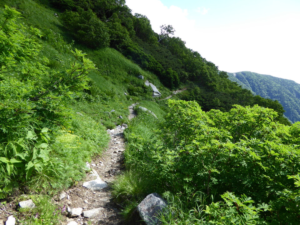 P1050014_mid.jpg