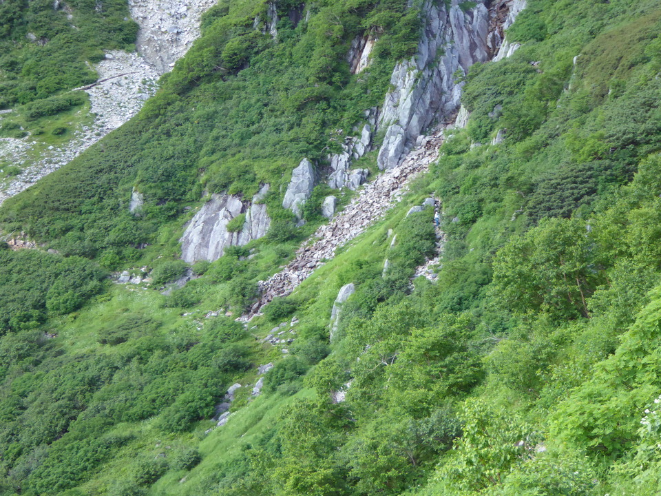 P1050019_mid.jpg