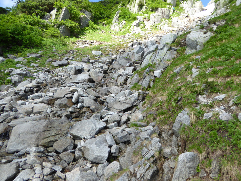 P1050042_mid.jpg