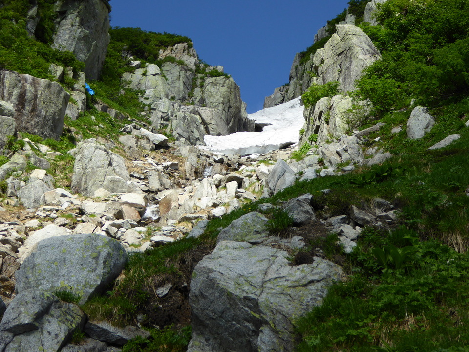 P1050044_mid.jpg