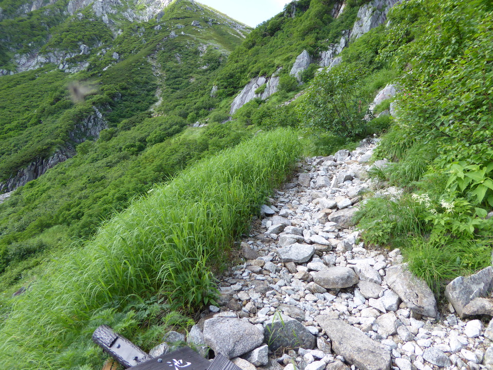 P1050048_mid.jpg