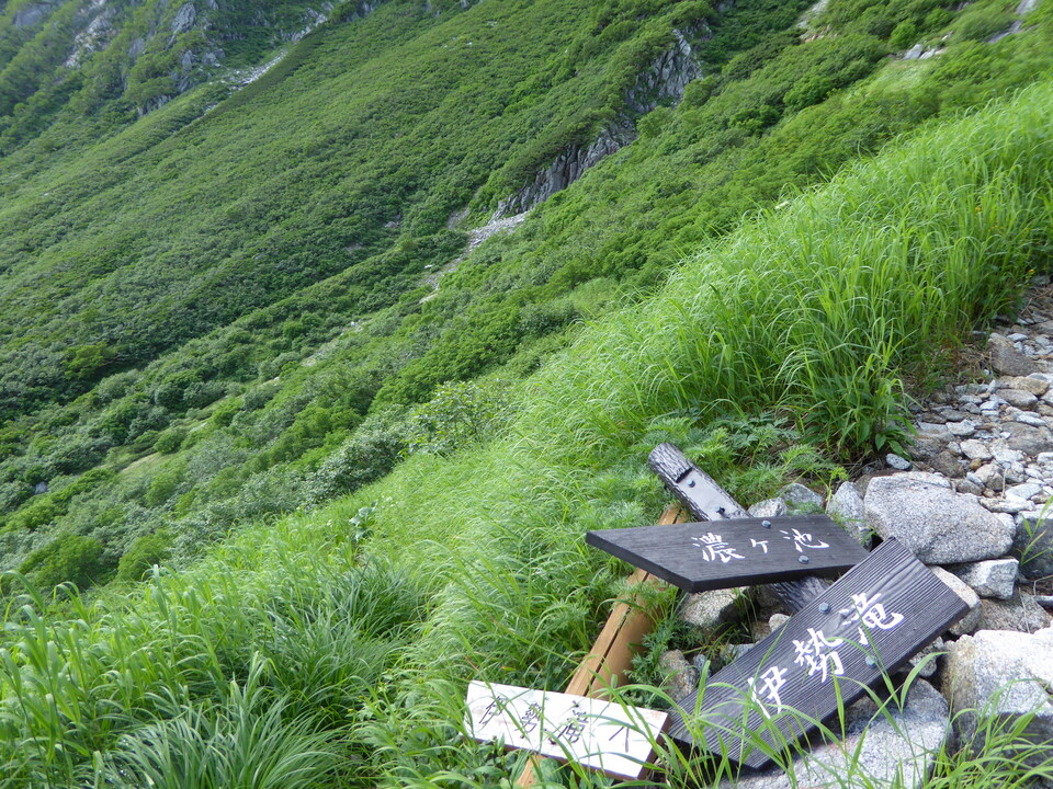 P1050049_mid.jpg