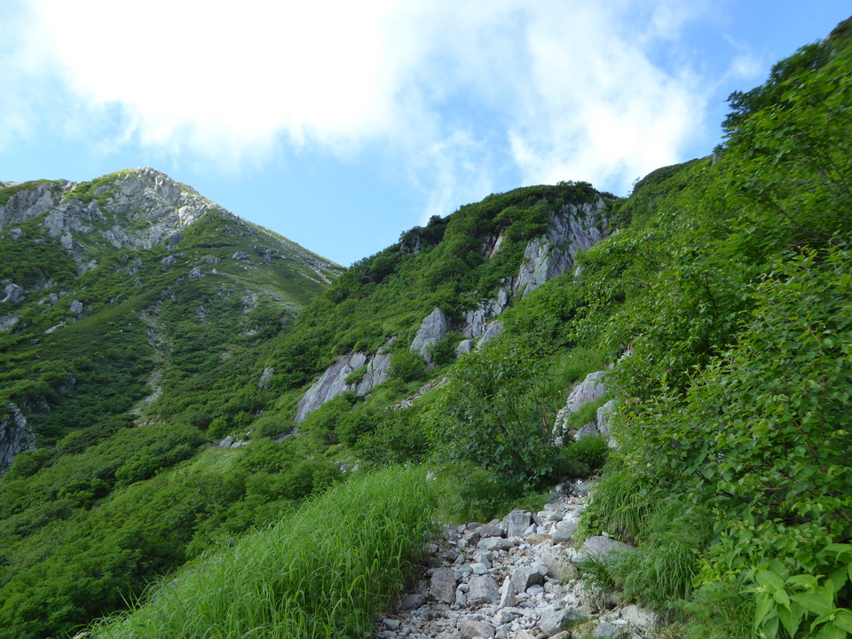 P1050053_mid.jpg