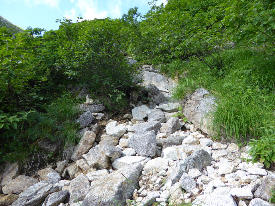 P1050054_mid.jpg