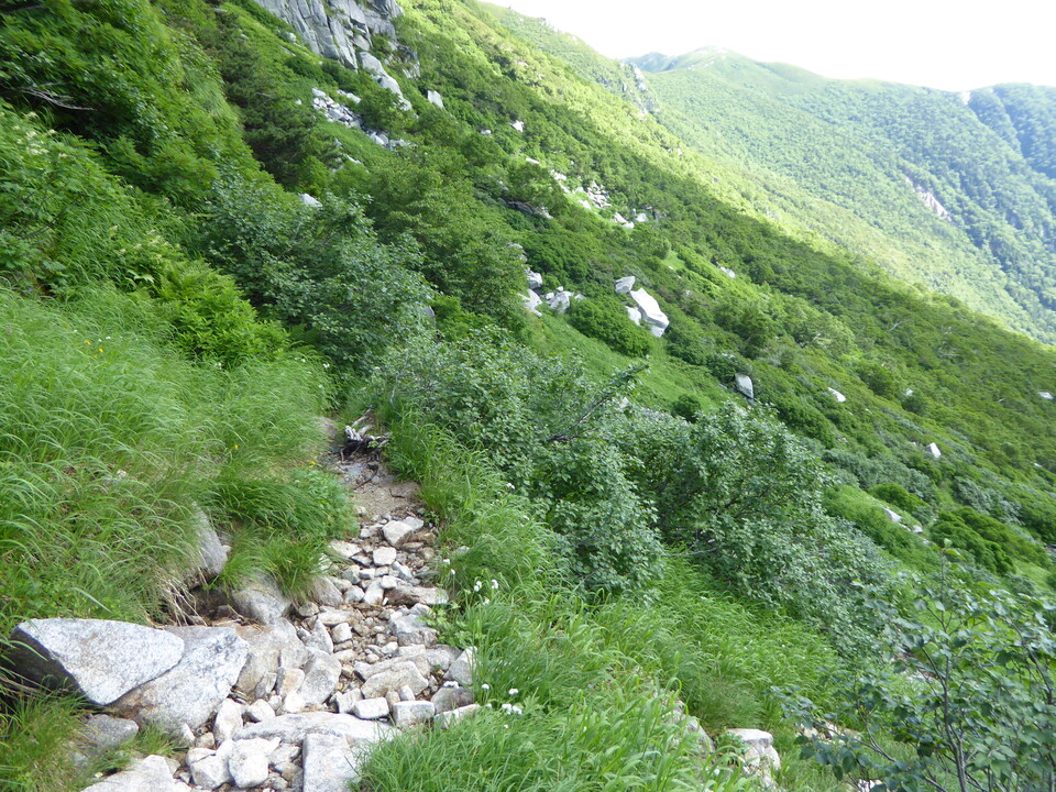 P1050055_mid.jpg