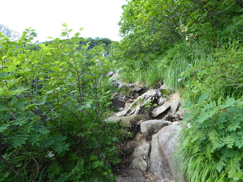 P1050059_mid.jpg