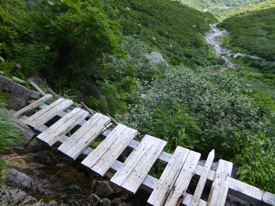 P1050060_mid.jpg