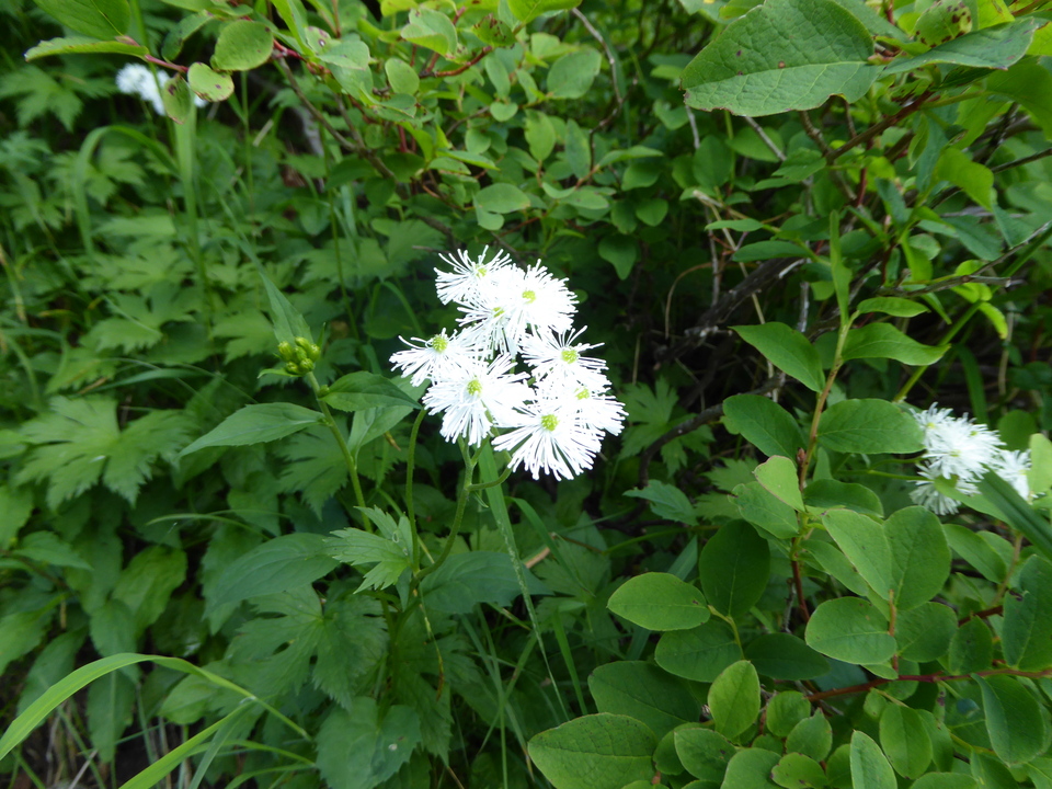 P1050063_mid.jpg