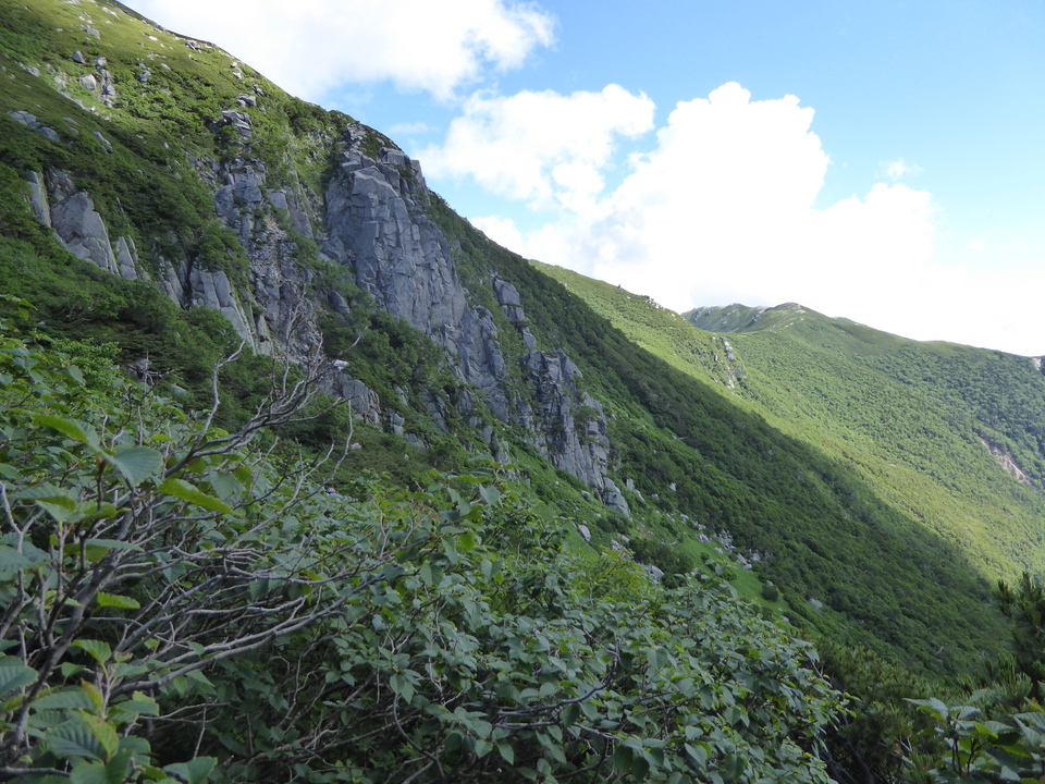 P1050066_mid.jpg